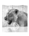 Room divider - Lioness | FEEBY
