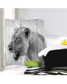 Room divider - Lioness | FEEBY