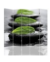 Decorative screen - Composition of pebbles and leaves | FEEBY