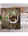 Kitchen screen - Fresh olives | FEEBY