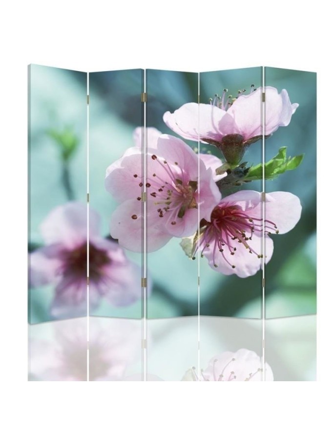 Decorative screen - Cherry blossom in close-up | FEEBY
