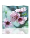 Decorative screen - Cherry blossom in close-up | FEEBY