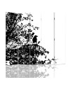 Decorative room divider - Black bird on a branch | FEEBY
