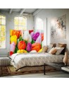 room divider - Colourful tulips | FEEBY