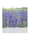 Room divider - Charm of a lavender field | FEEBY