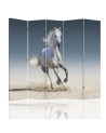 room divider - Horse running on sand | FEEBY