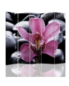 room divider - Zen with orchid flower | FEEBY