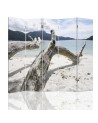Bathroom divider - Tree branches on a tropical beach | FEEBY
