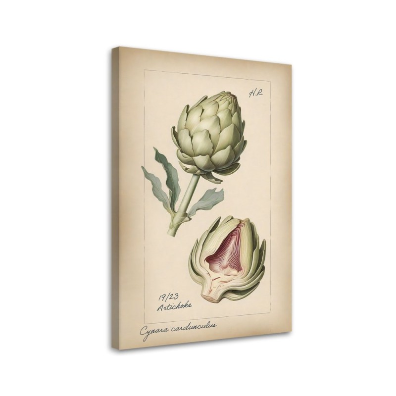 Kitchen painting - Vegetables Vintage Artichoke | FEEBY