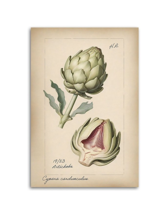 Kitchen painting - Vegetables Vintage Artichoke | FEEBY