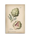 Kitchen painting - Vegetables Vintage Artichoke | FEEBY
