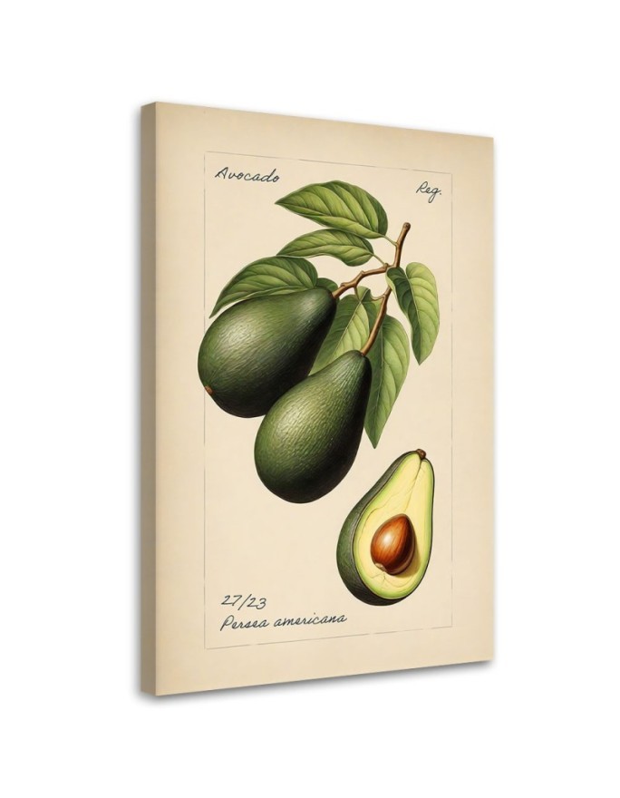 Modern canvas print for kitchen - Vintage fruit Avocado | FEEBY