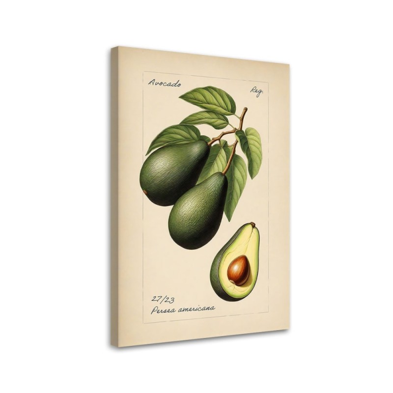 Modern canvas print for kitchen - Vintage fruit Avocado | FEEBY