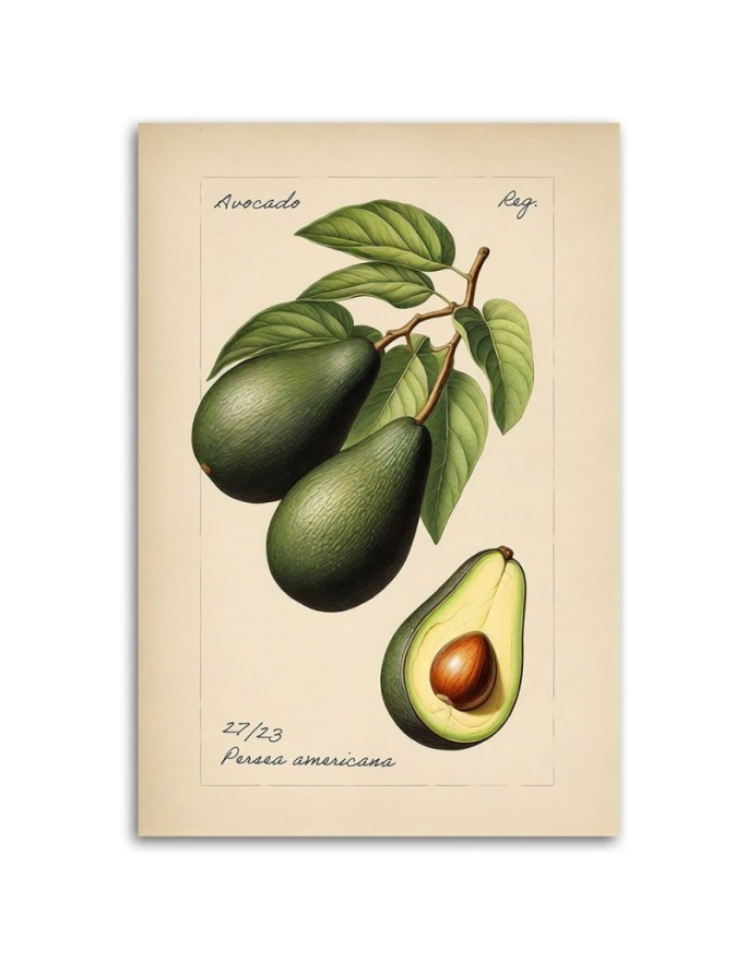 Modern canvas print for kitchen - Vintage fruit Avocado | FEEBY