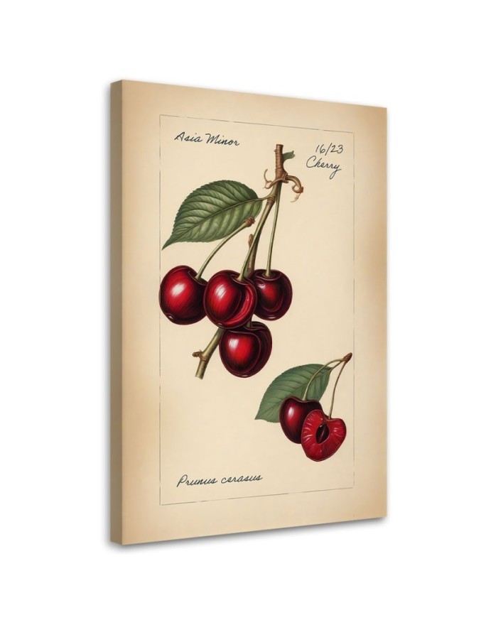 Kitchen canvas print - Fruit Vintage Cherry | FEEBY