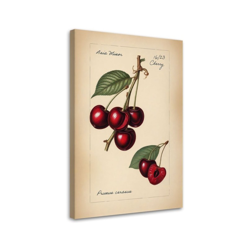 Kitchen canvas print - Fruit Vintage Cherry | FEEBY