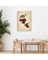 Kitchen canvas print - Fruit Vintage Cherry | FEEBY