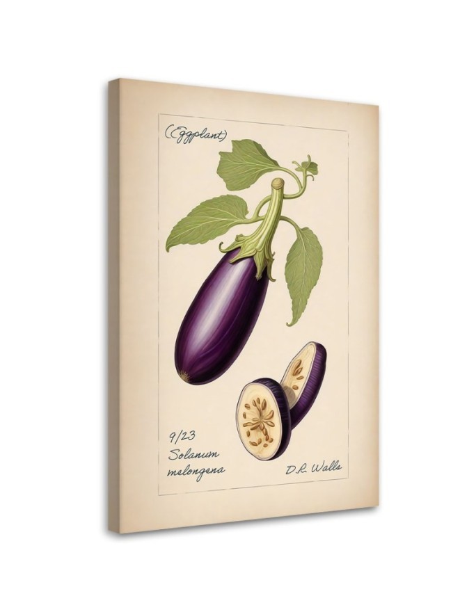 Dinning room canvas print - Vintage vegetables Aubergine | FEEBY