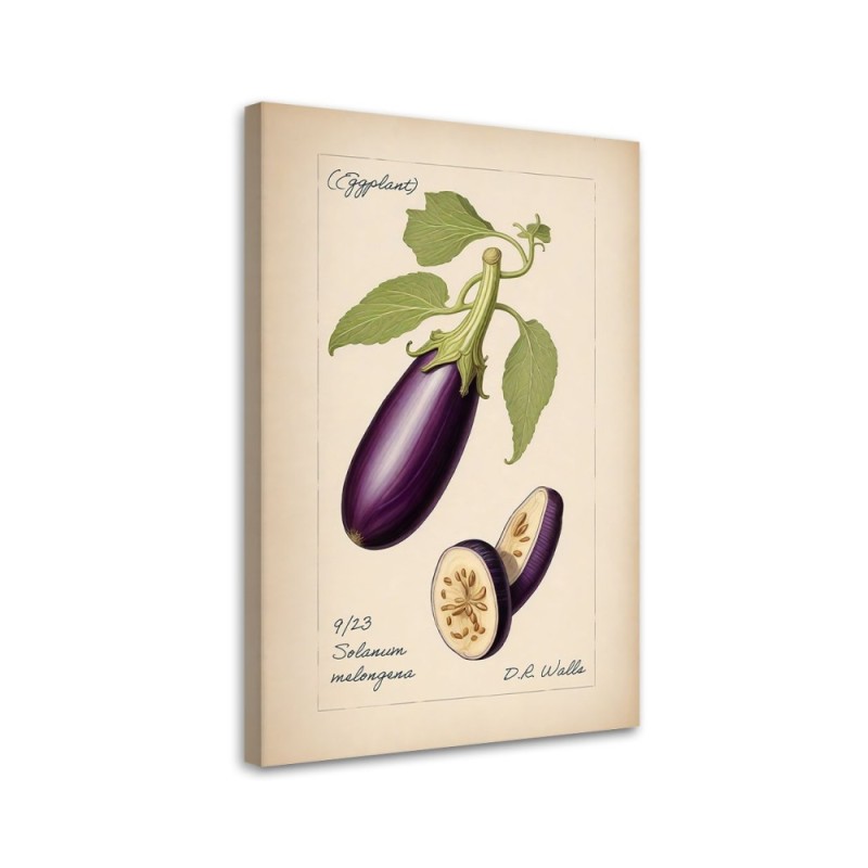 Dinning room canvas print - Vintage vegetables Aubergine | FEEBY