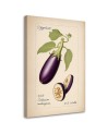 Dinning room canvas print - Vintage vegetables Aubergine | FEEBY
