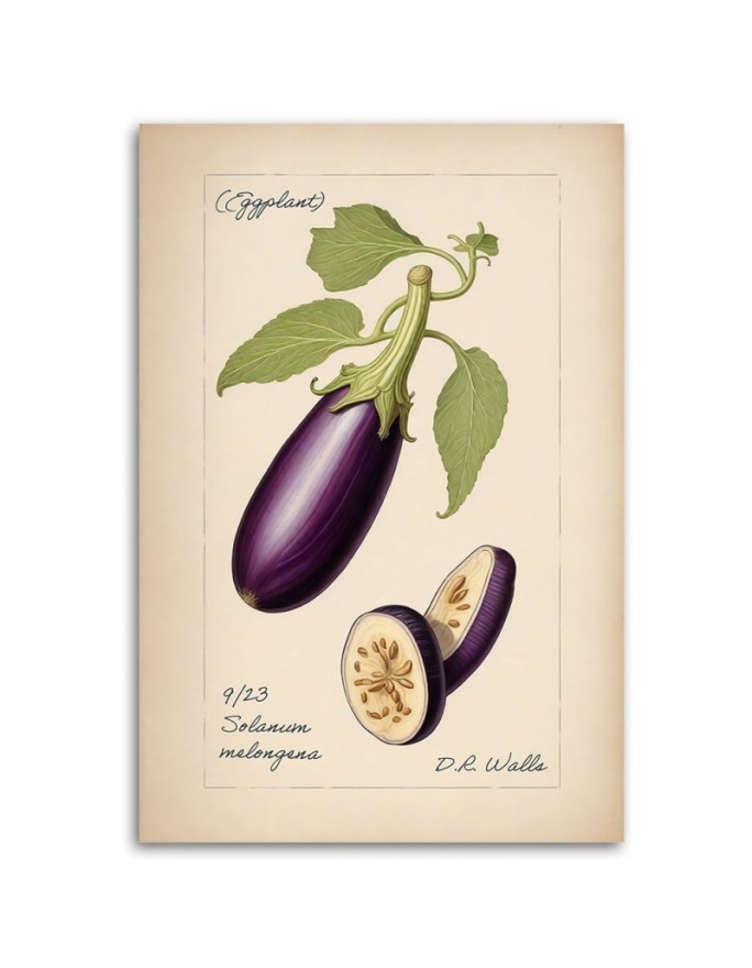 Dinning room canvas print - Vintage vegetables Aubergine | FEEBY