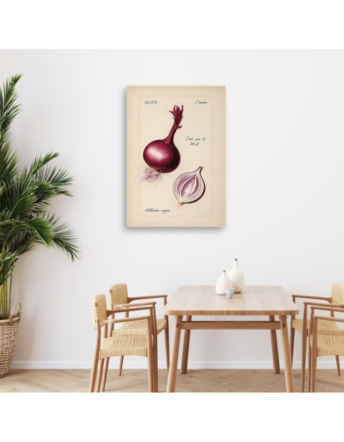 Image for dining room modern - Vintage vegetables Onion | FEEBY