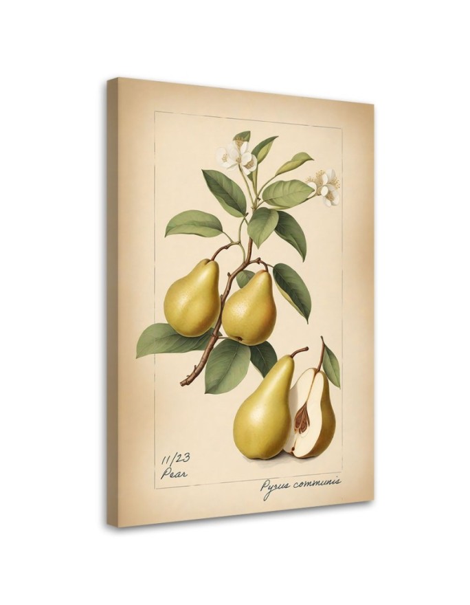 Canvas print Fruit Vintage...