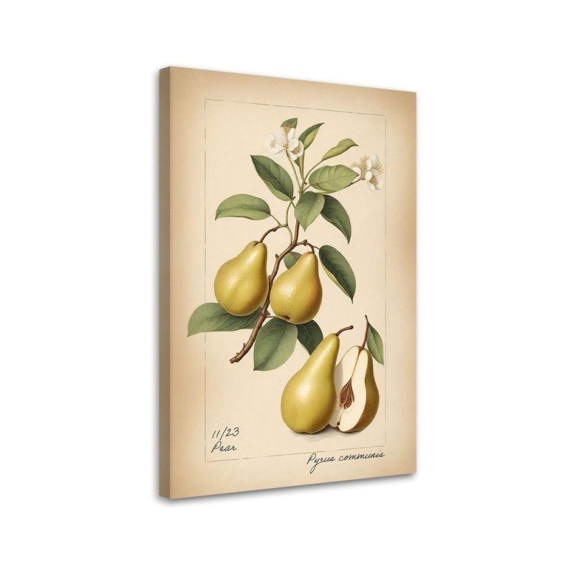 Print on canvas for kitchen - Fruit Vintage Pear | FEEBY