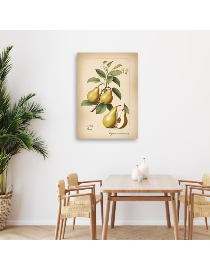 Print on canvas for kitchen - Fruit Vintage Pear | FEEBY