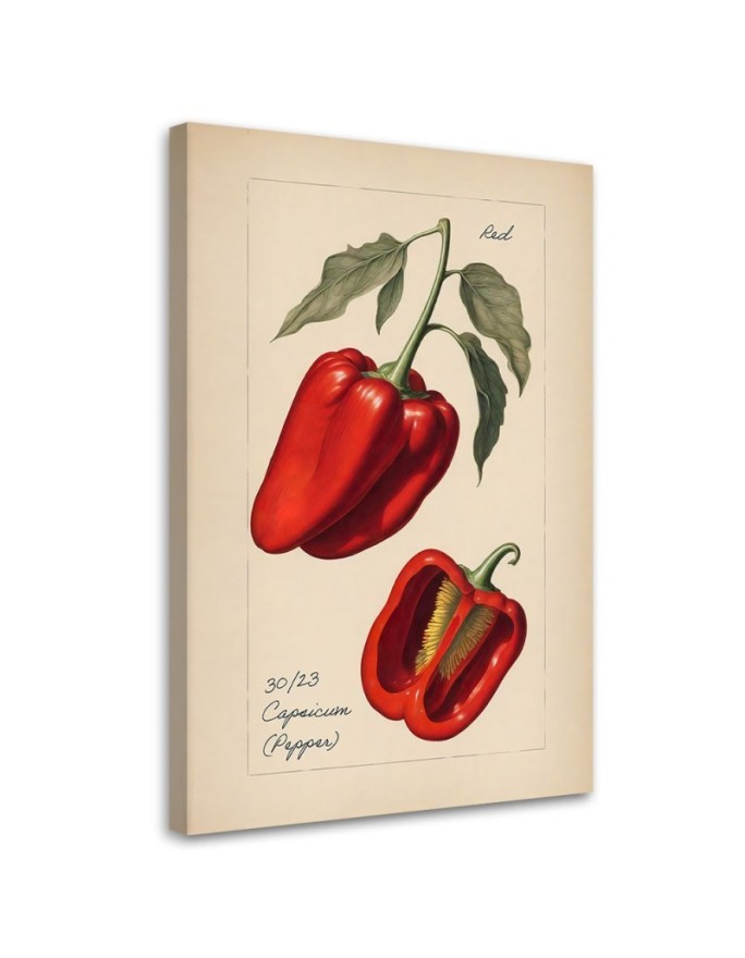 Kitchen canvas print - Vintage vegetables Peppers | FEEBY