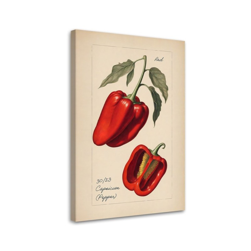 Kitchen canvas print - Vintage vegetables Peppers | FEEBY
