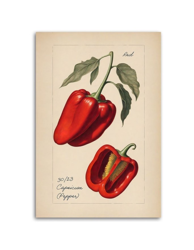 Kitchen canvas print - Vintage vegetables Peppers | FEEBY