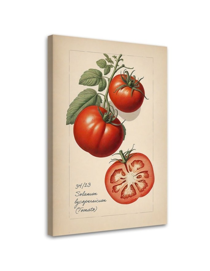 Kitchen canvas print - Fruit Vintage Tomato | FEEBY