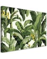 Canvas print for bedroom - Green banana leaves | FEEBY
