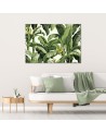 Canvas print for bedroom - Green banana leaves | FEEBY