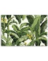 Canvas print for bedroom - Green banana leaves | FEEBY