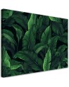 Wall canvas print - Exotic leaves | FEEBY
