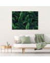 Wall canvas print - Exotic leaves | FEEBY