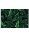 Wall canvas print - Exotic leaves | FEEBY