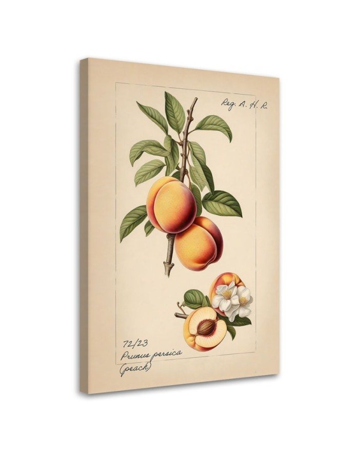 Canvas print Vintage fruit...