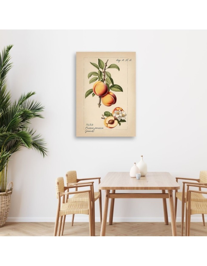 Picture for kitchen - Vintage fruit Peach | FEEBY