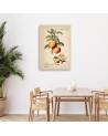 Picture for kitchen - Vintage fruit Peach | FEEBY