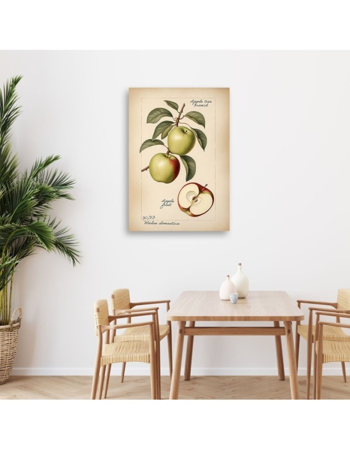 Picture for restaurant - Fruit Vintage Apple | FEEBY