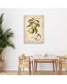 Picture for restaurant - Fruit Vintage Apple | FEEBY
