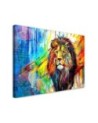 Bedroom canvas print - Lion Animals Abstraction | FEEBY