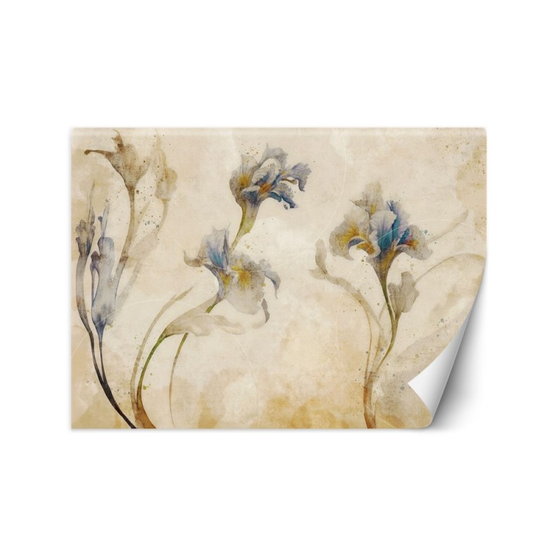 Wallpaper - Irises watercolor | FEEBY