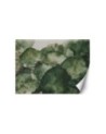 Modern wall mural - Green lotus leaves | FEEBY