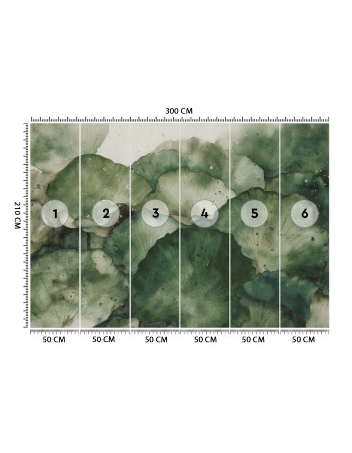 Modern wall mural - Green lotus leaves | FEEBY
