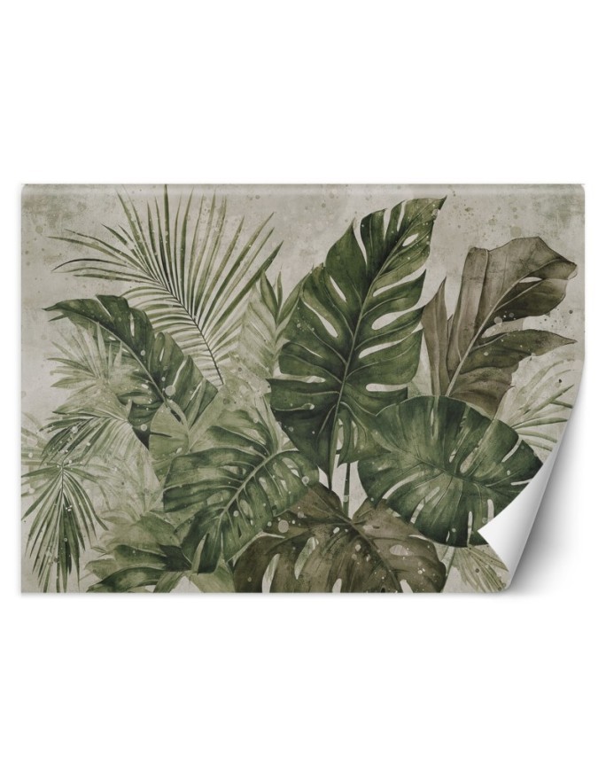 Unique wall mural - Tropical monstera leaves | FEEBY