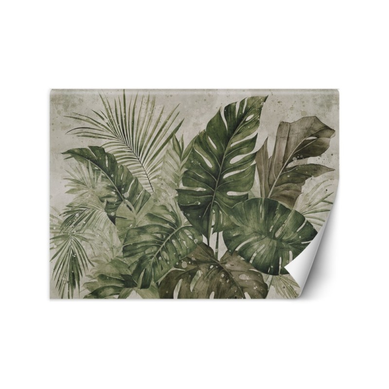 Unique wall mural - Tropical monstera leaves | FEEBY